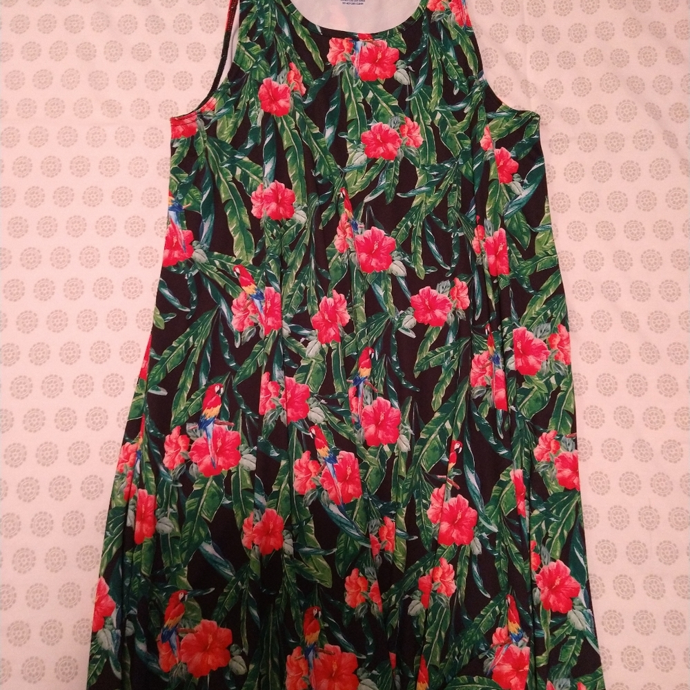 5fin Floral dress NWoT sz med